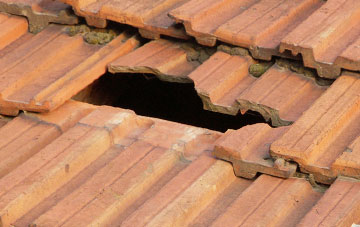 roof repair Dolau